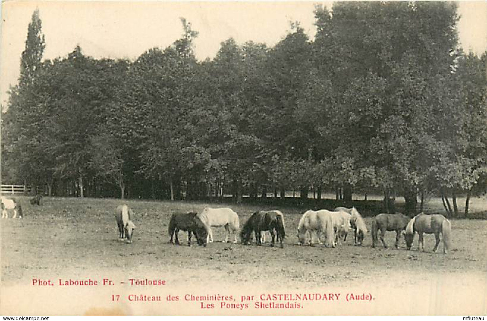 11* CHEMINIERES  Chateau –  Poneys    MA99,0767 - Autres & Non Classés