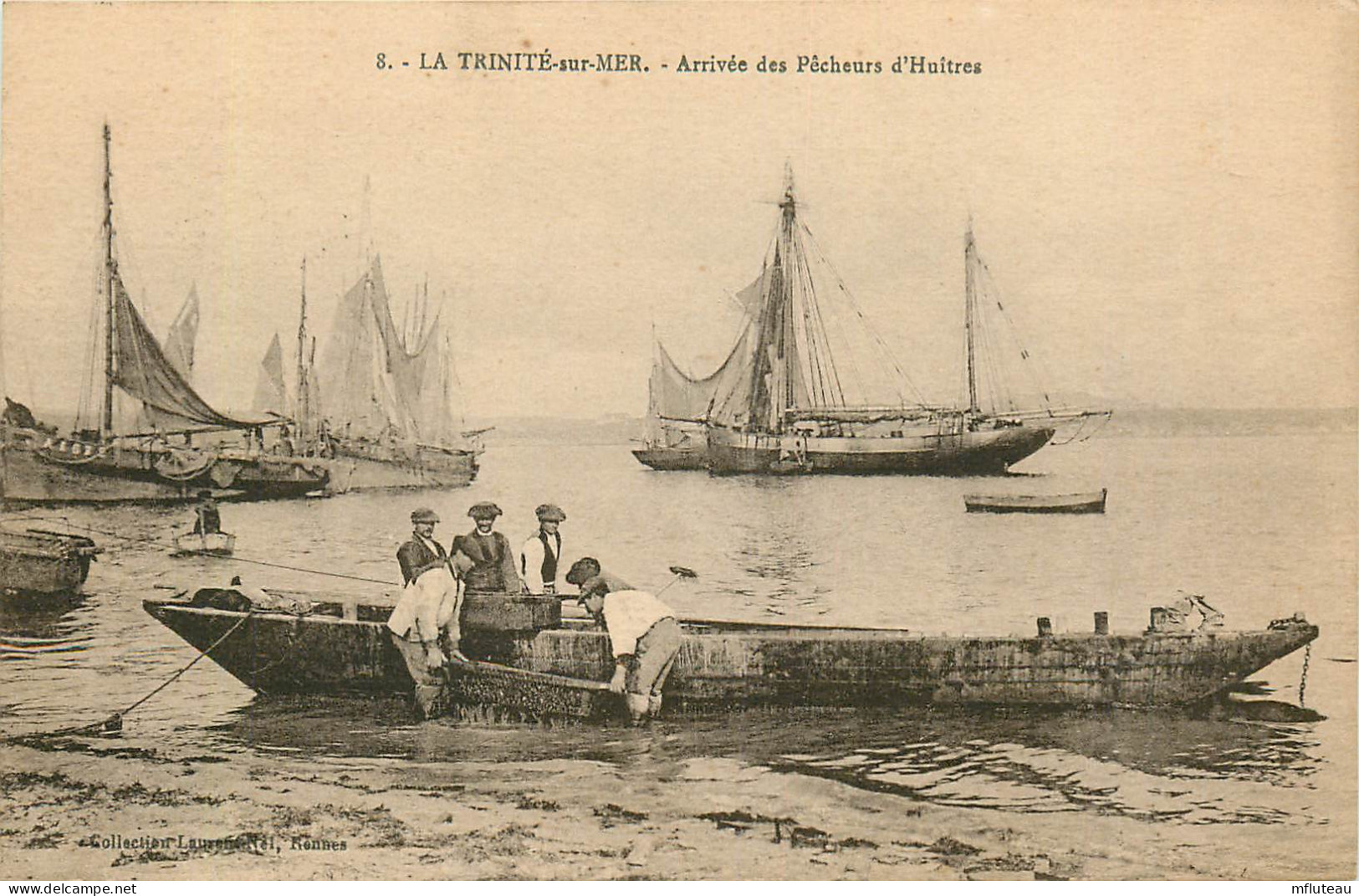 56* LA TRINITE S/MER   Arrivee Des Pecheurs D Huitres     RL25,0661 - La Trinite Sur Mer