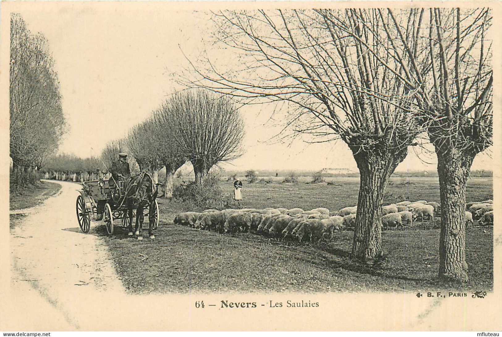 58* NEVERS  Les Saulais  -  Moutons   RL37.1026 - Nevers