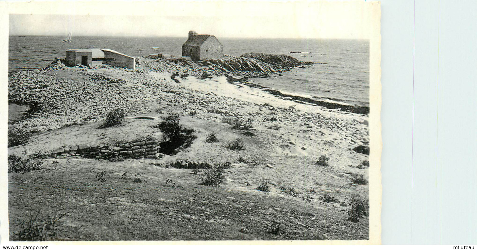 56* LA TRINITE S/MER  La Pointe De Kerbihan      CPSM (9x14cm)     RL37.0881 - Sainte Hermine