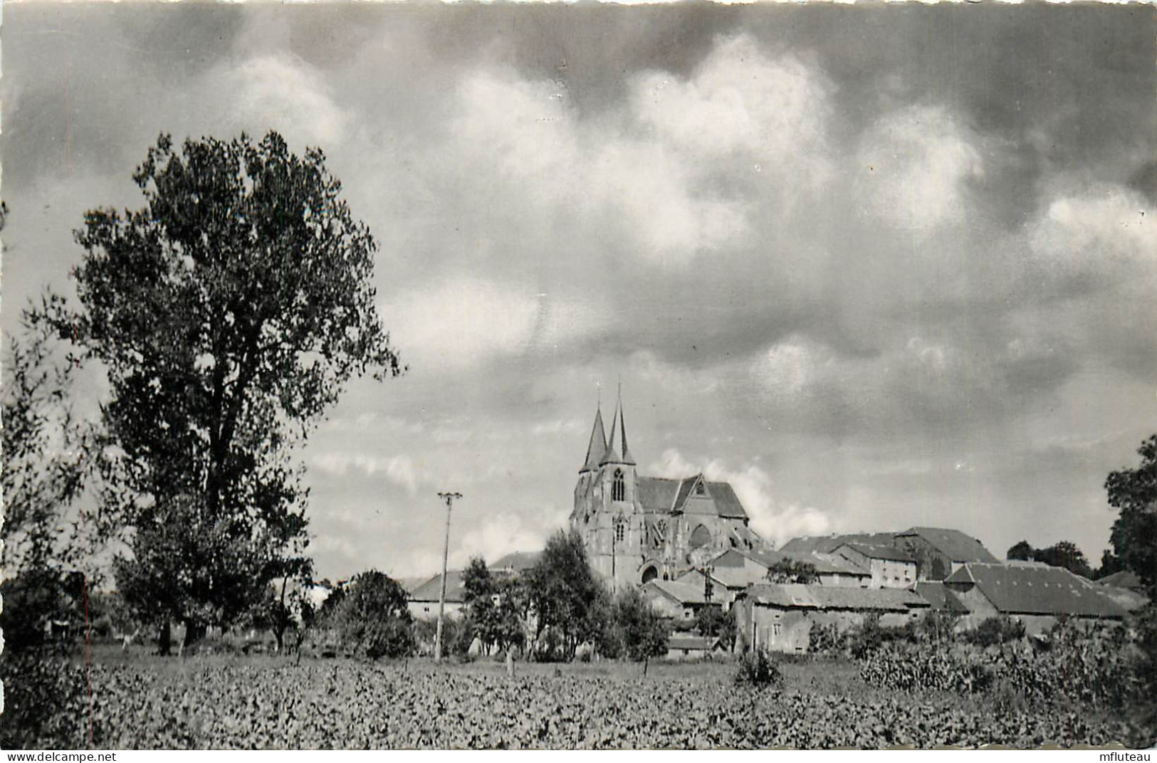 55* AVIOTH  Le Village  CPSM (9x14cm)          RL37.0793 - Avioth