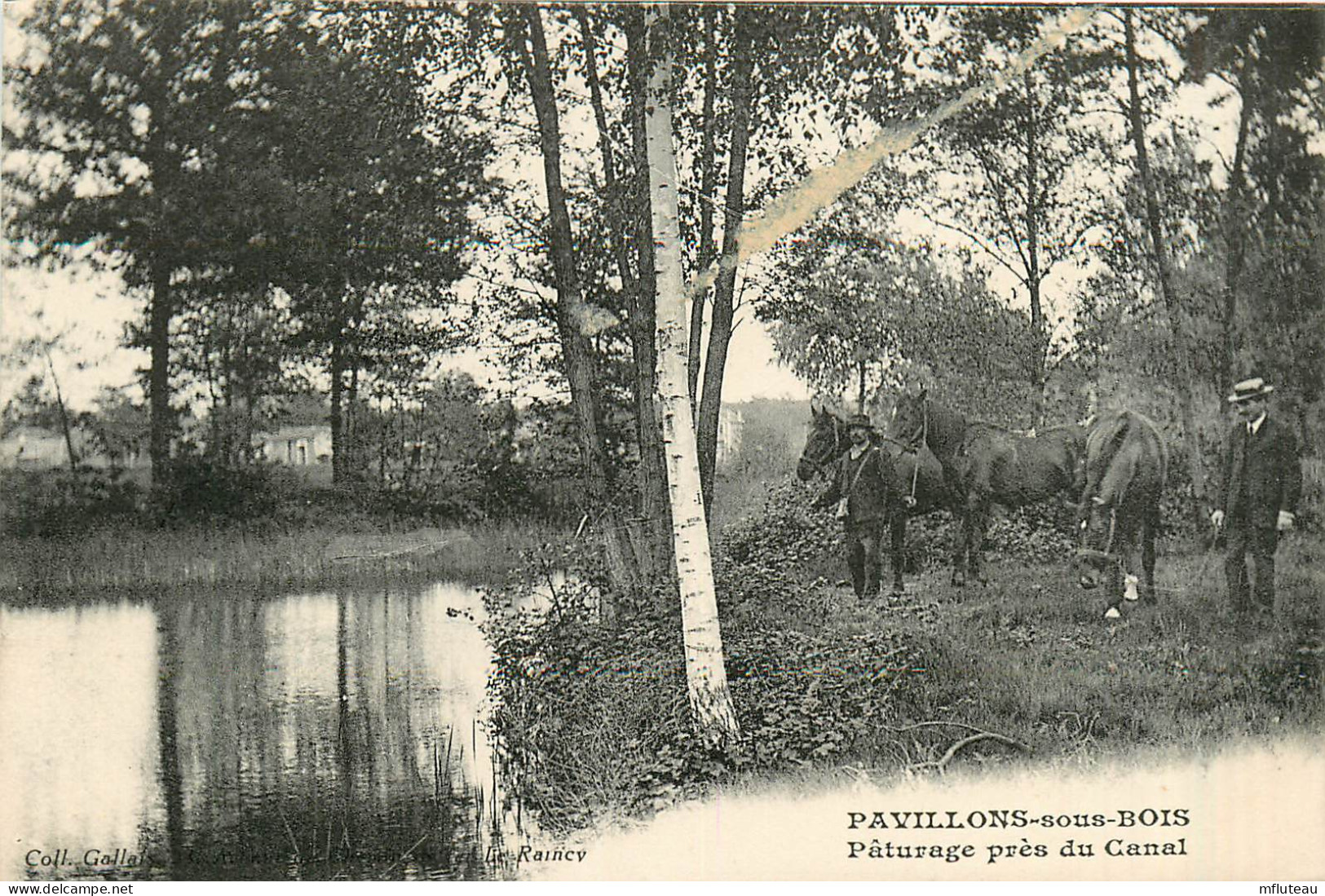 93* PAVILLONS SOUS BOIS  Paturage Pres Du Canal    RL37.1289 - Sonstige & Ohne Zuordnung