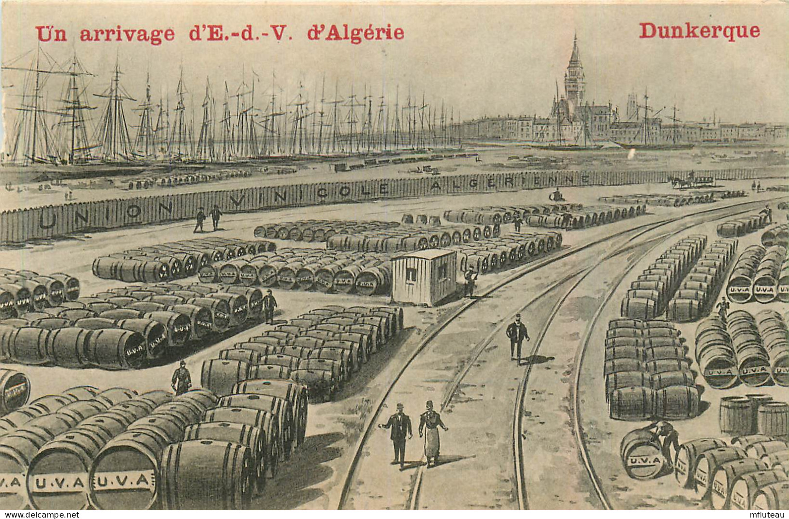 59* DUNKERQUE Arrivage D E.d.V D Algerie   RL37.1178 - Dunkerque
