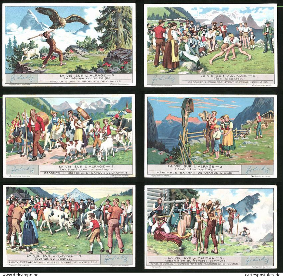 6 Sammelbilder Liebig, Serie Nr. 1285: La Vie Sur L`Alpage, Répartition Du Fromage Communal, Tournoi De Vaches  - Liebig
