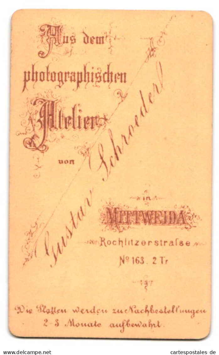 Fotografie Gustav Schroeder, Mittweida, Rochlitzerstrasse 163, Portrait Herr Im Anzug Mit Fliege  - Anonymous Persons
