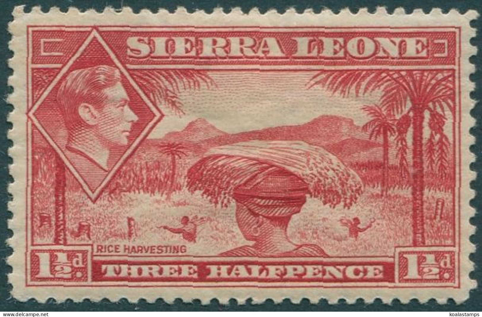 Sierra Leone 1938 SG190 1½d Rice Harvesting KGVI MH - Sierra Leone (1961-...)