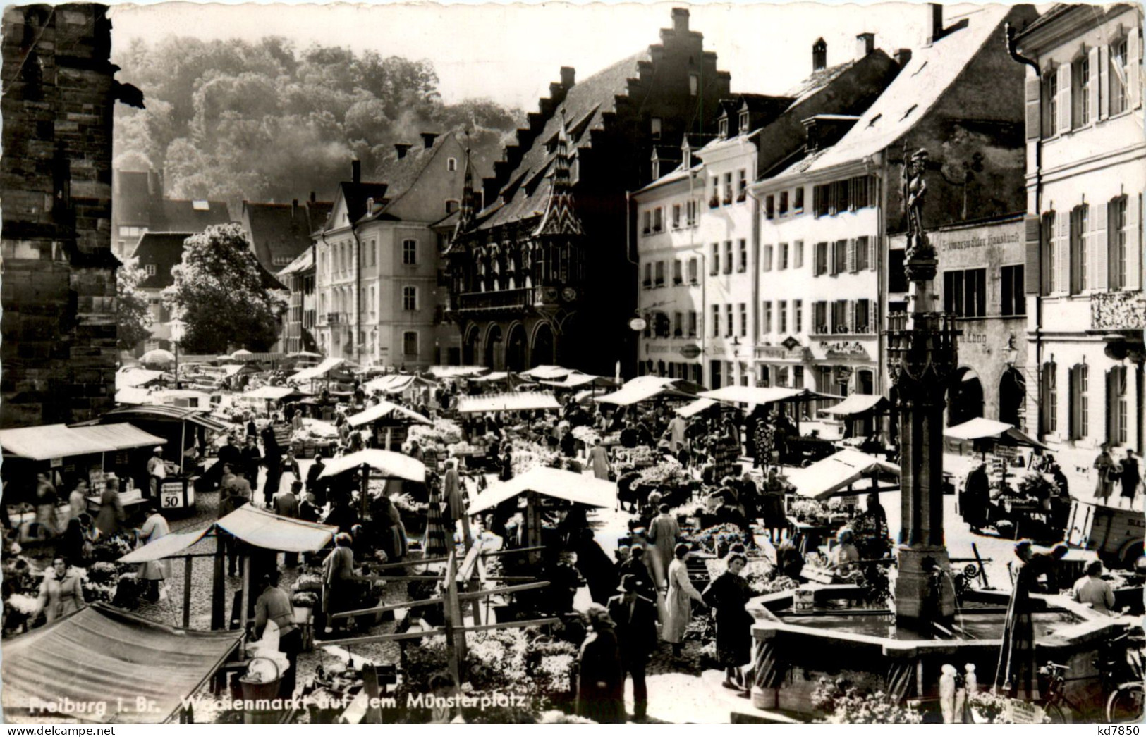 Freiburg I.Br., Wochemmarkt Auf Dem Münsterplatz - Freiburg I. Br.