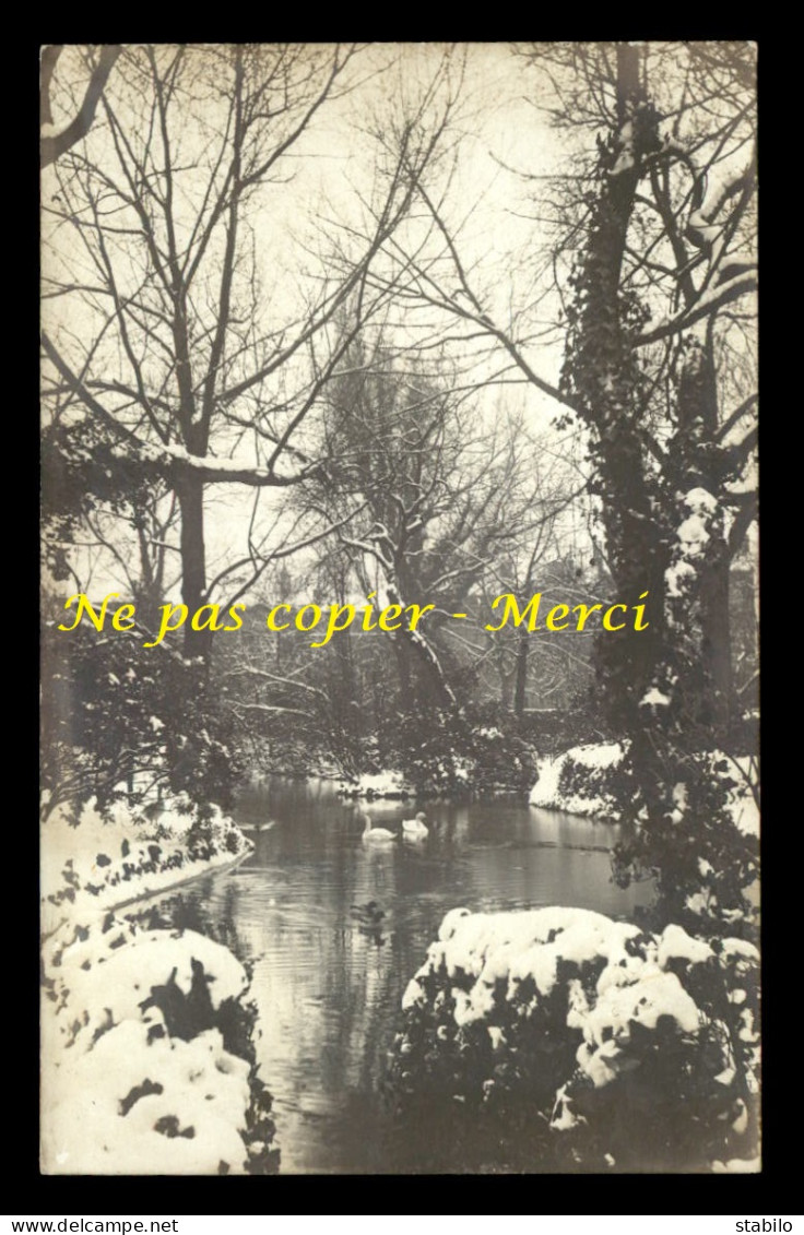 76 - LE HAVRE - LE PARC SOUS LA NEIGE EN 1909 - CARTE PHOTO ORIGINALE - Non Classés