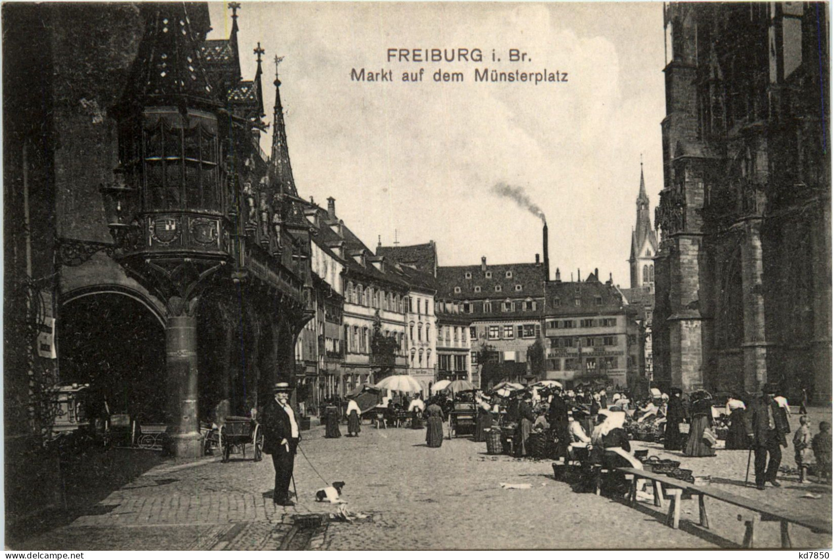 Freiburg I.Br., Markt Auf Dem Münsterplatz - Freiburg I. Br.