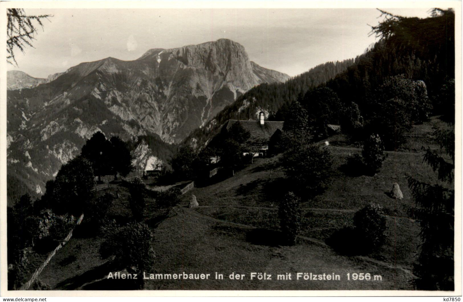 Aflenz, Lammerbauer In Der Fölz Mit Fölzstein - Alfenz