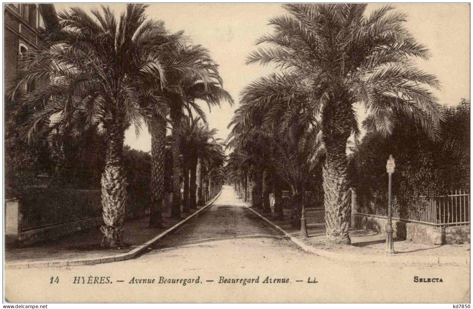 Hyeres - Avenue Beauregard - Hyeres