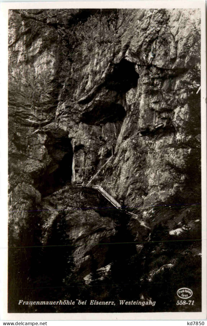 Eisenerz, Frauenmauerhöhle, Westeingang - Eisenerz