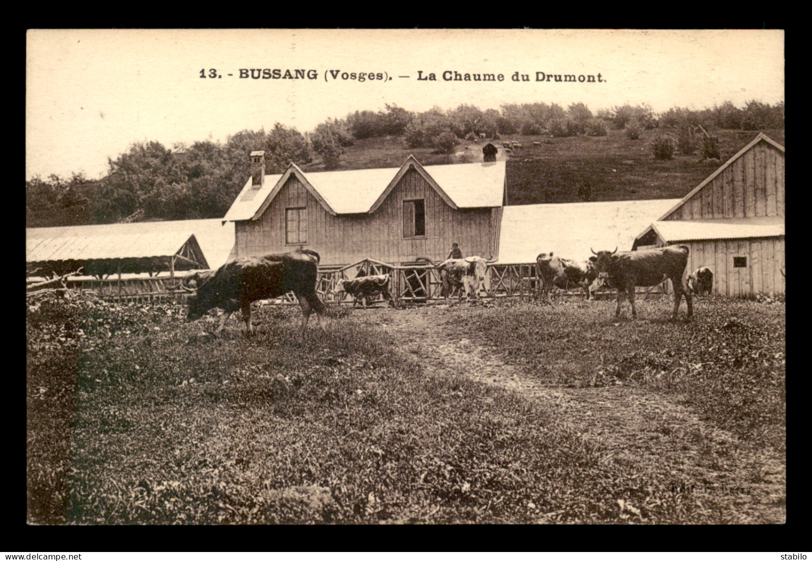 88 - BUSSANG - LA CHAUME DU DRUMONT - Bussang