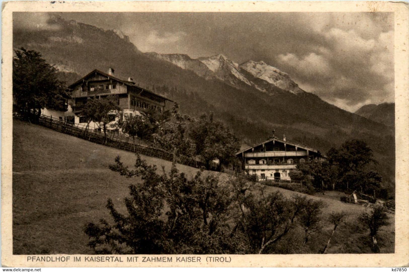 Der Pfandlhof Im Kaisertal Mit Zahmen Kaiser - Kufstein