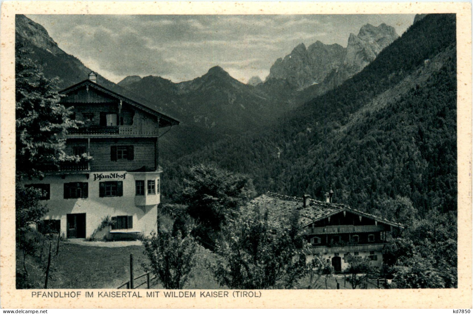 Pfandlhof Im Kaisertal Mit Wildem Kaiser - Kufstein