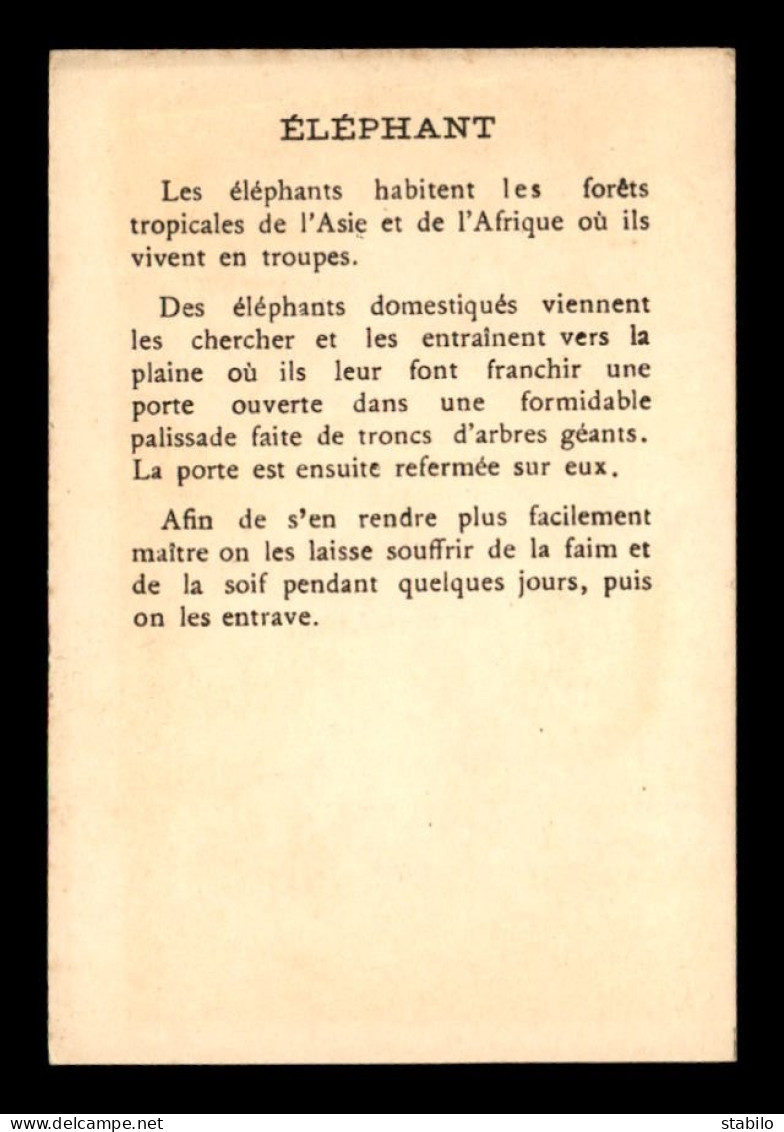 CHROMOS - LES GRANDES CHASSES - ELEPHANT - FORMAT  7 X 10.5 CM - Otros & Sin Clasificación