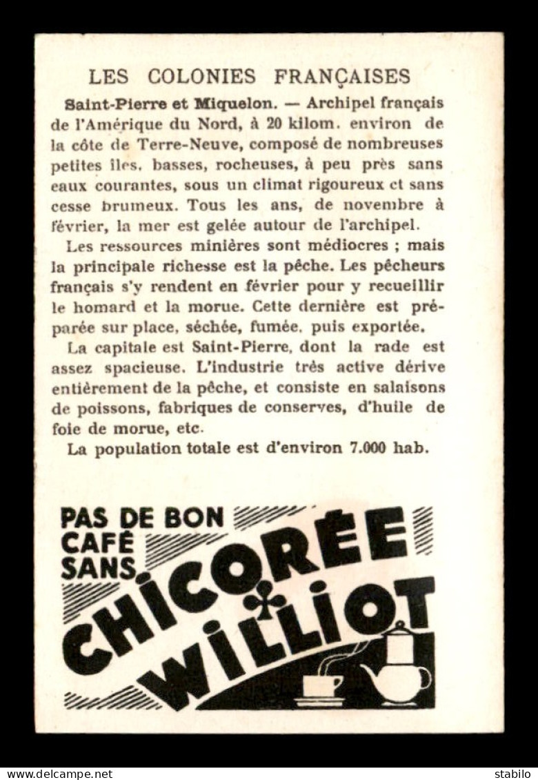 CHROMOS - CHICOREE WILLIOT - ST-PIERRE-ET-MIQUELON - FORMAT 10.5 X 7 CM - Other & Unclassified