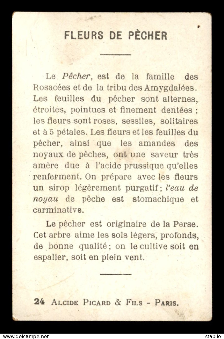 CHROMOS - FLEURS DE PECHER ET BOUVREUIL - ALCIDE PICARD & FILS PARIS - FORMAT 12.5 X 8 CM - Other & Unclassified