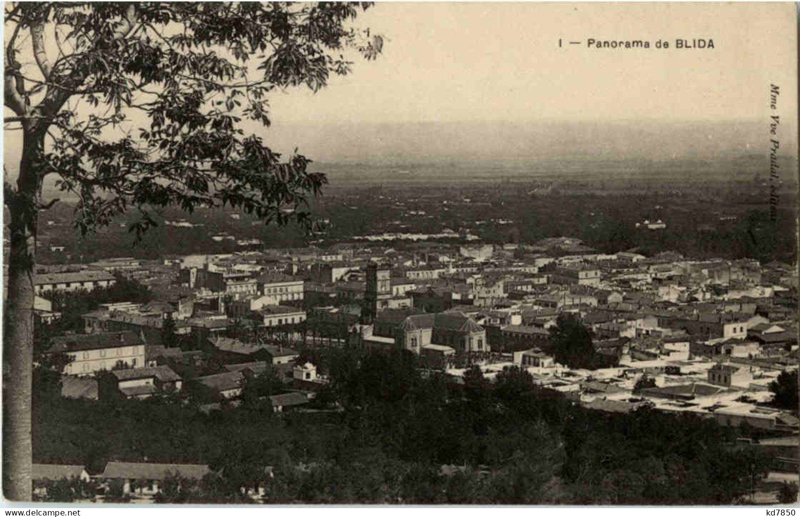 Panorama De Blida - Blida