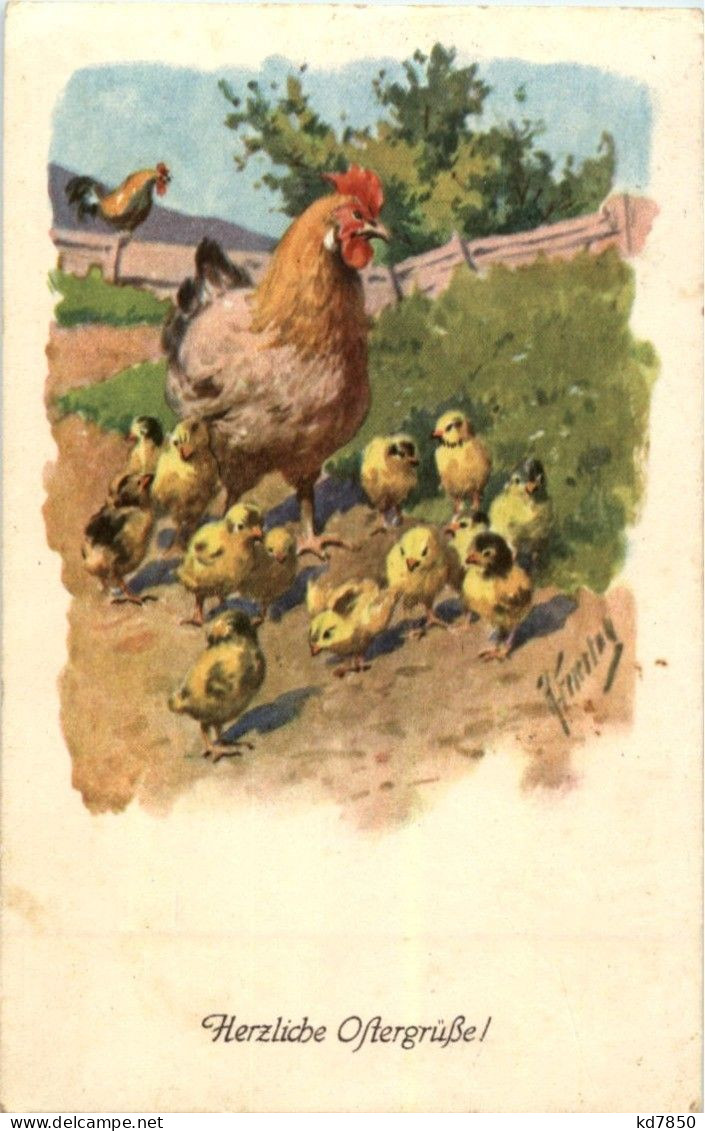 Frohe Ostern - Chicken - Pasqua