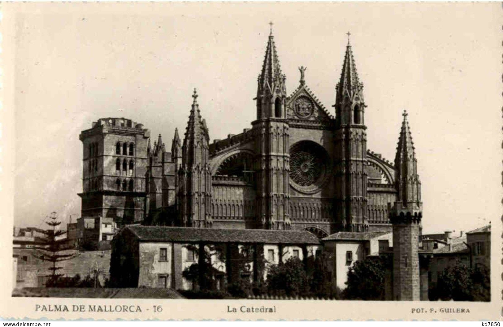 Palma De Mallorca - La Catedral - Palma De Mallorca