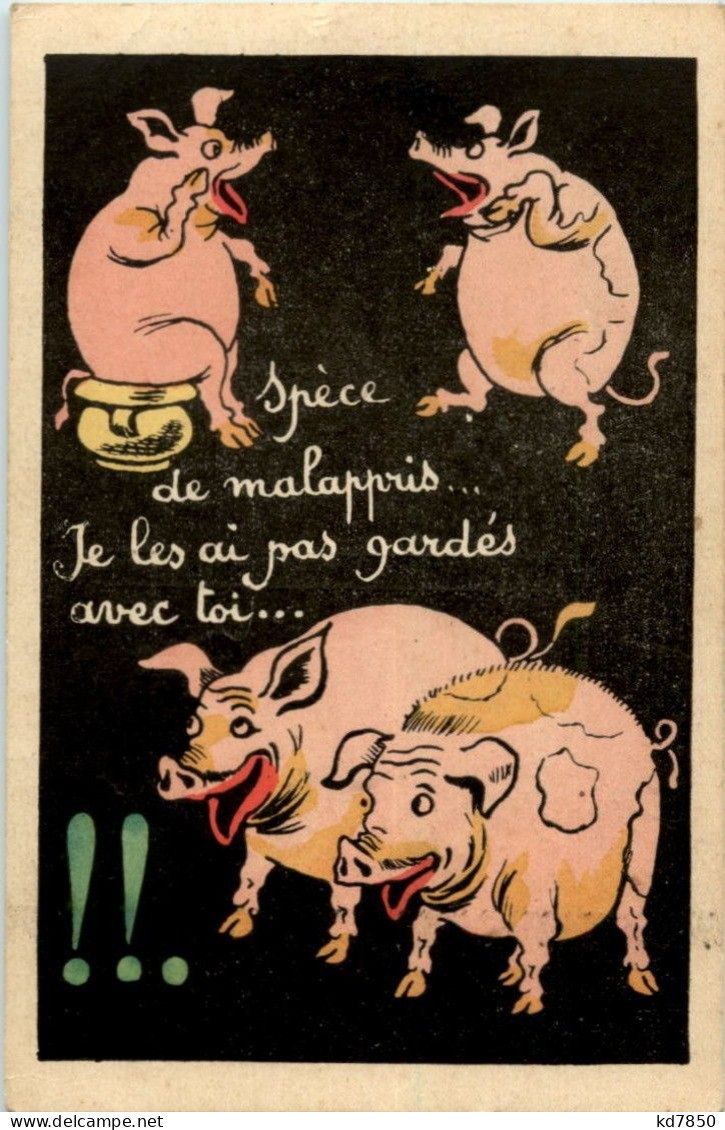 Schweine Pig - Varkens