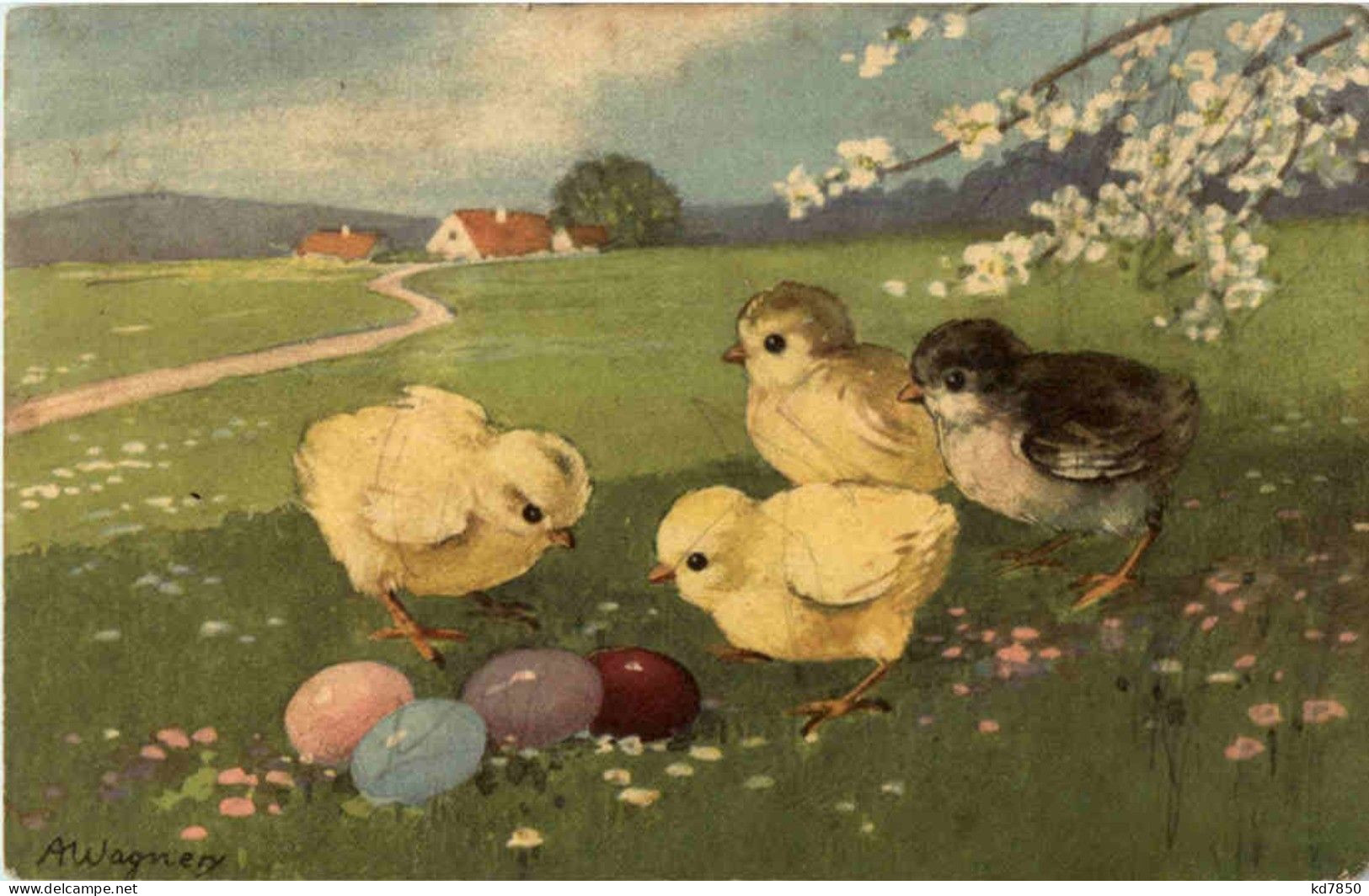 Frohe Ostern - Kücken - Pasqua