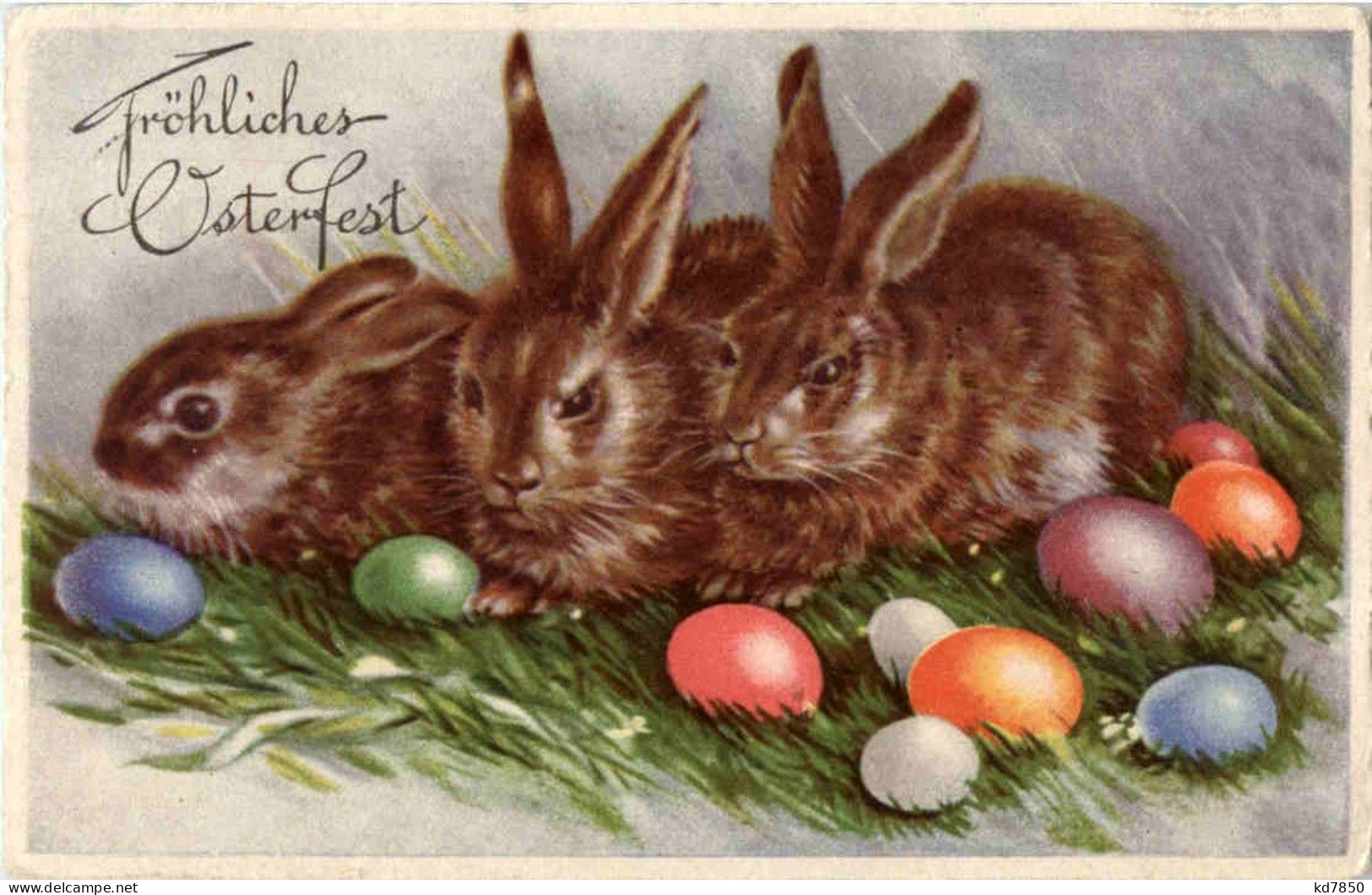 Frohe Ostern - Hase - Pasqua