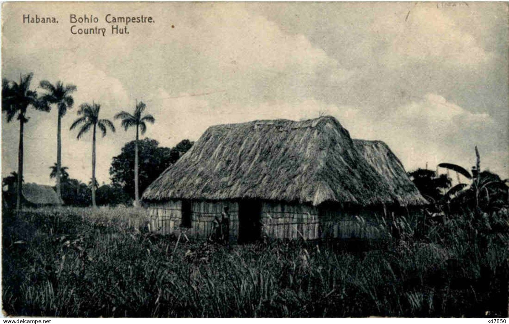 Habana - Bohio Campestre - Cuba