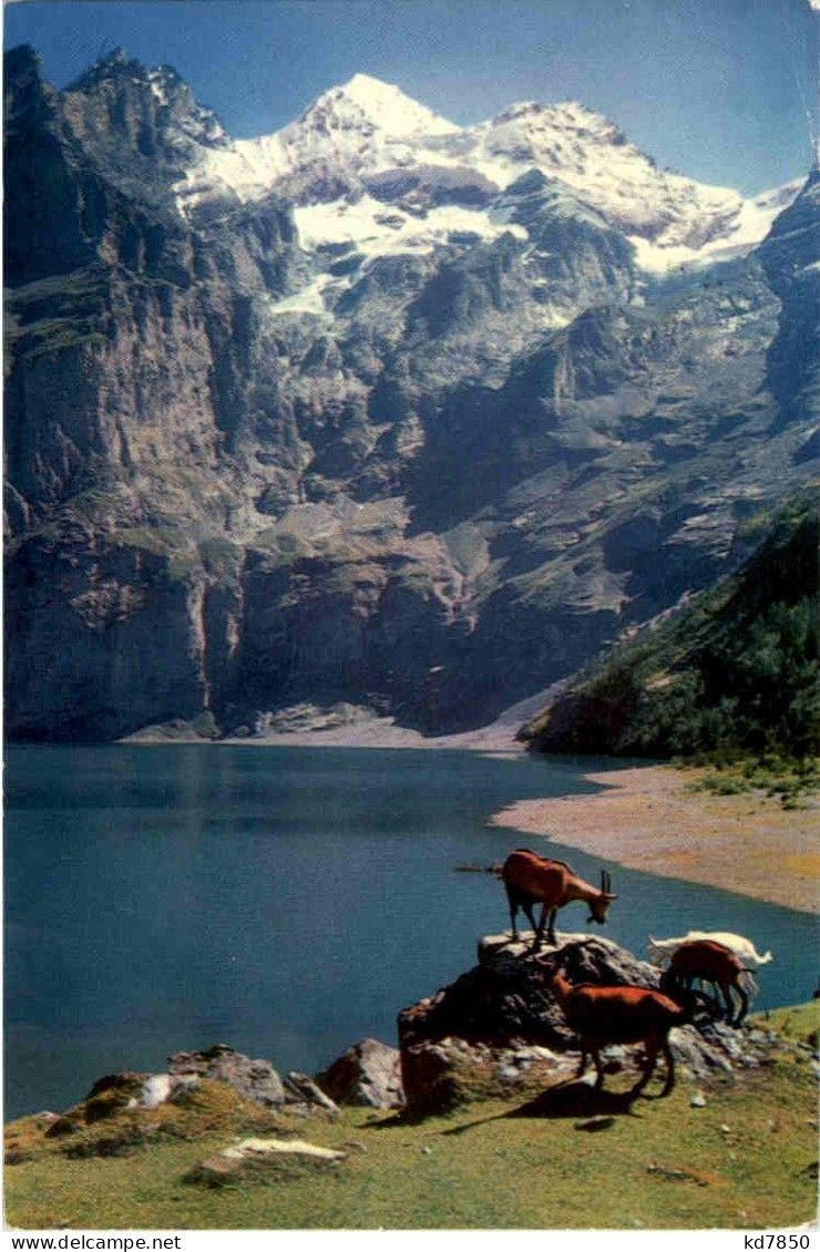 Kandersteg Oeschinensee - Kandersteg