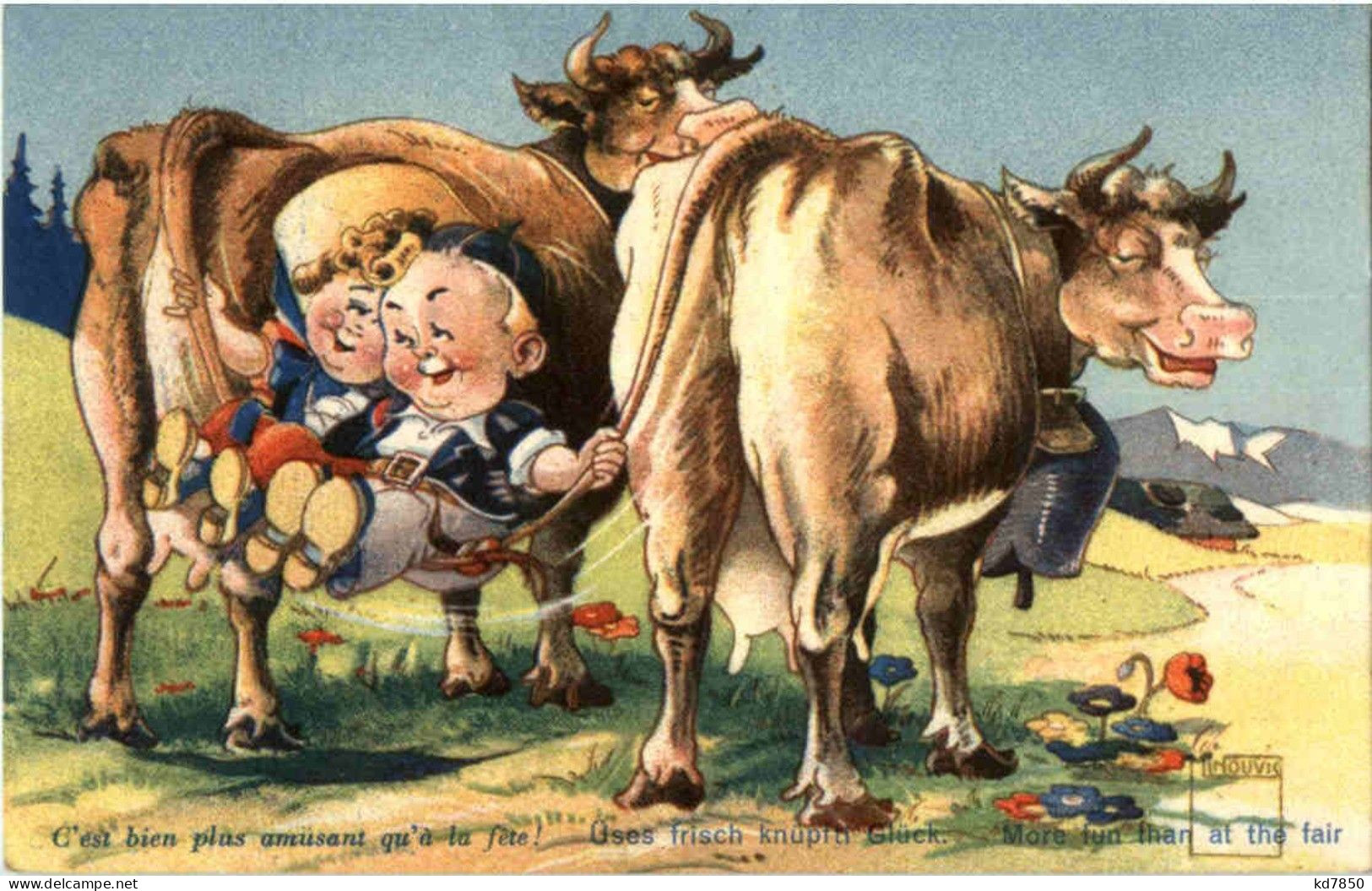 Kühe - Minouvis - Cows