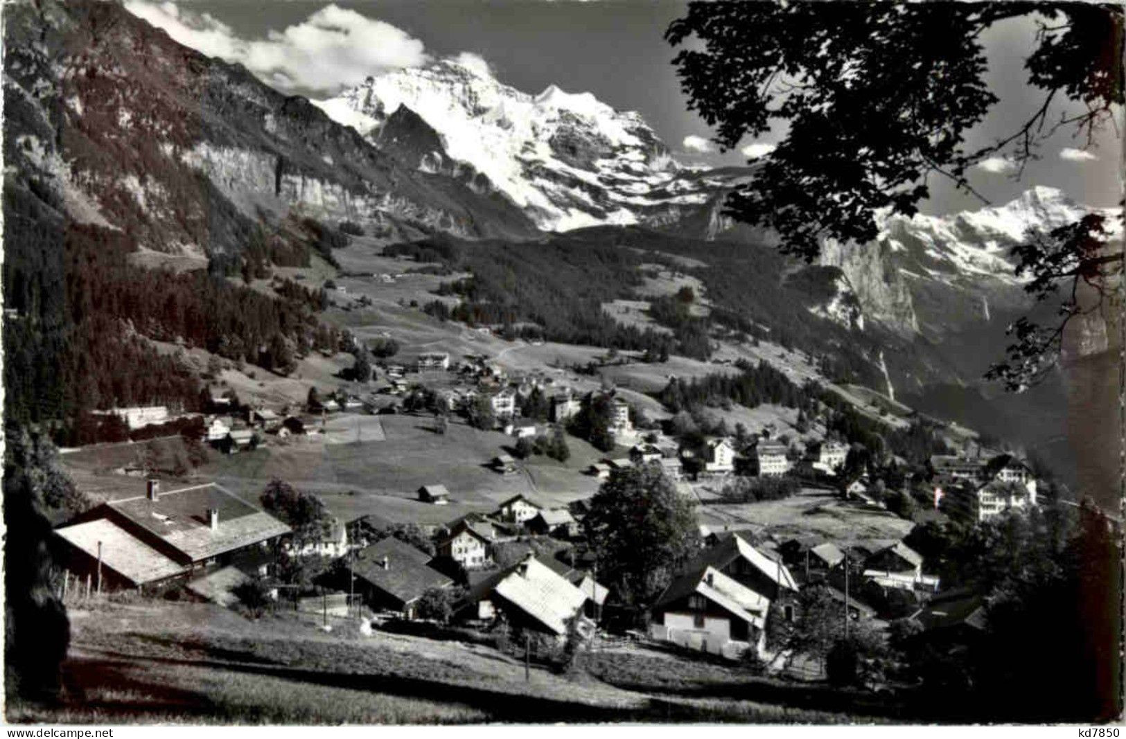 Wengen - Wengen