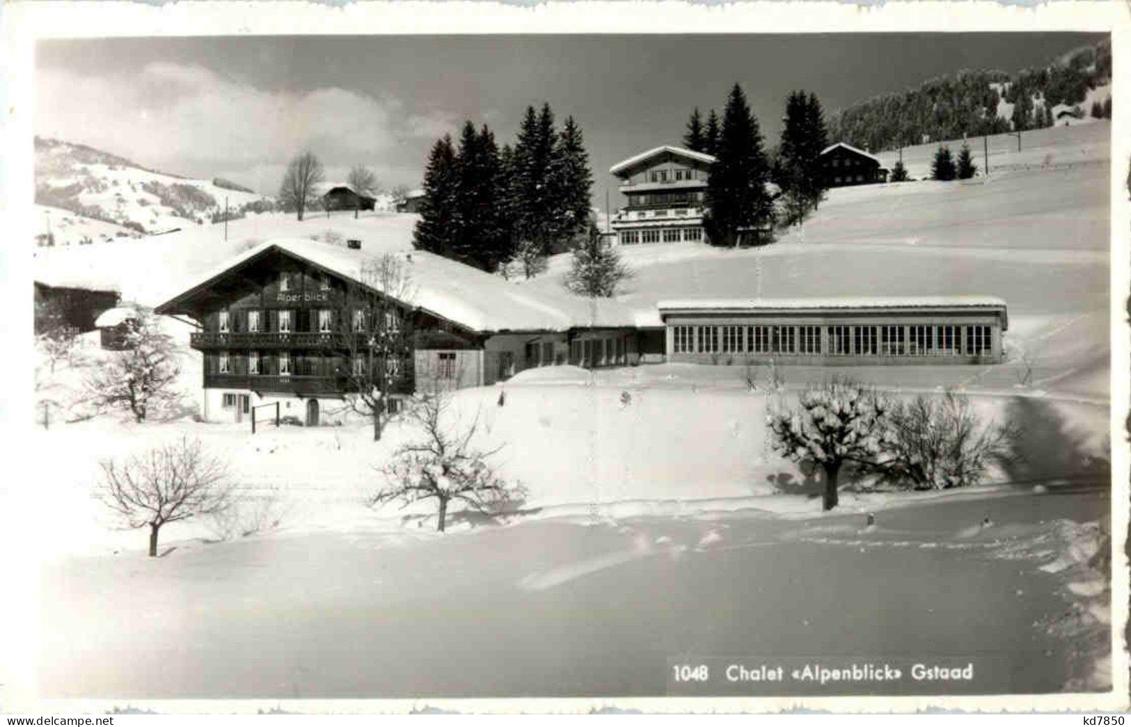 Gstaad - Chalet Alpenblick - Gstaad