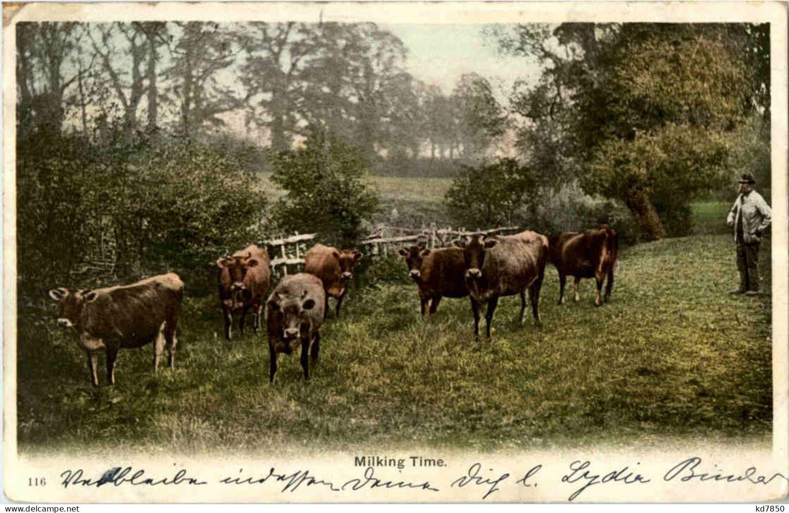 Milking Time - Sonstige & Ohne Zuordnung