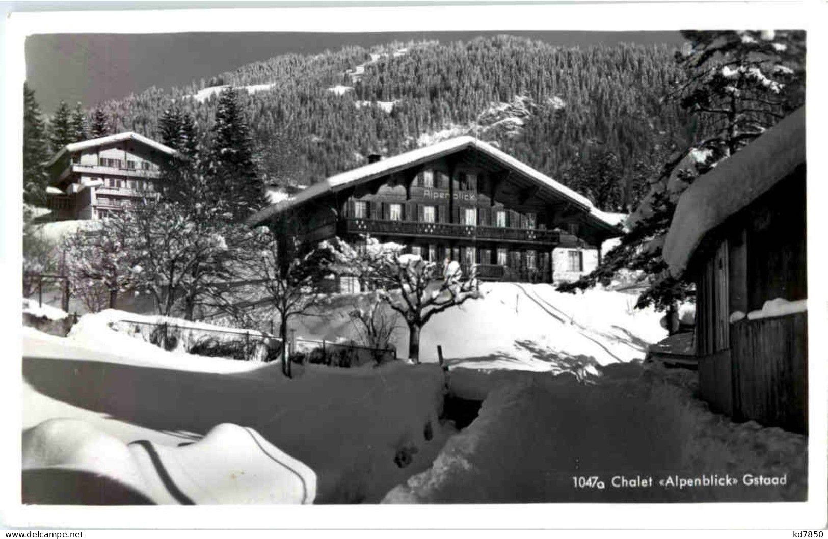 Gstaad - Chalet Alpenblick - Gstaad