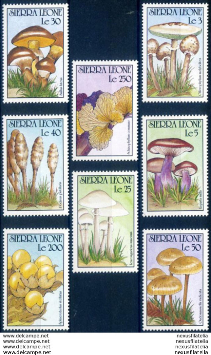 Flora. Funghi 1990. - Sierra Leone (1961-...)