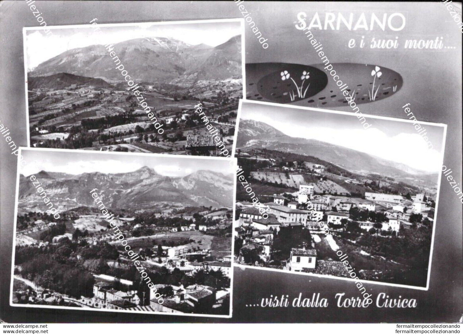 Al760 Cartolina Sarnano E I Suoi Monti Provincia Di Macerata Marche - Macerata