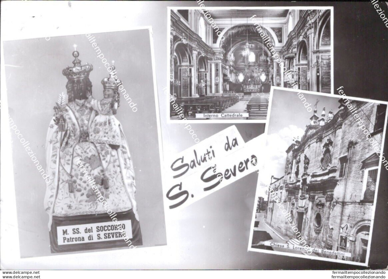 Al775 Cartolina Saluti Da S.severo Provincia Di Foggia  Puglia - Foggia