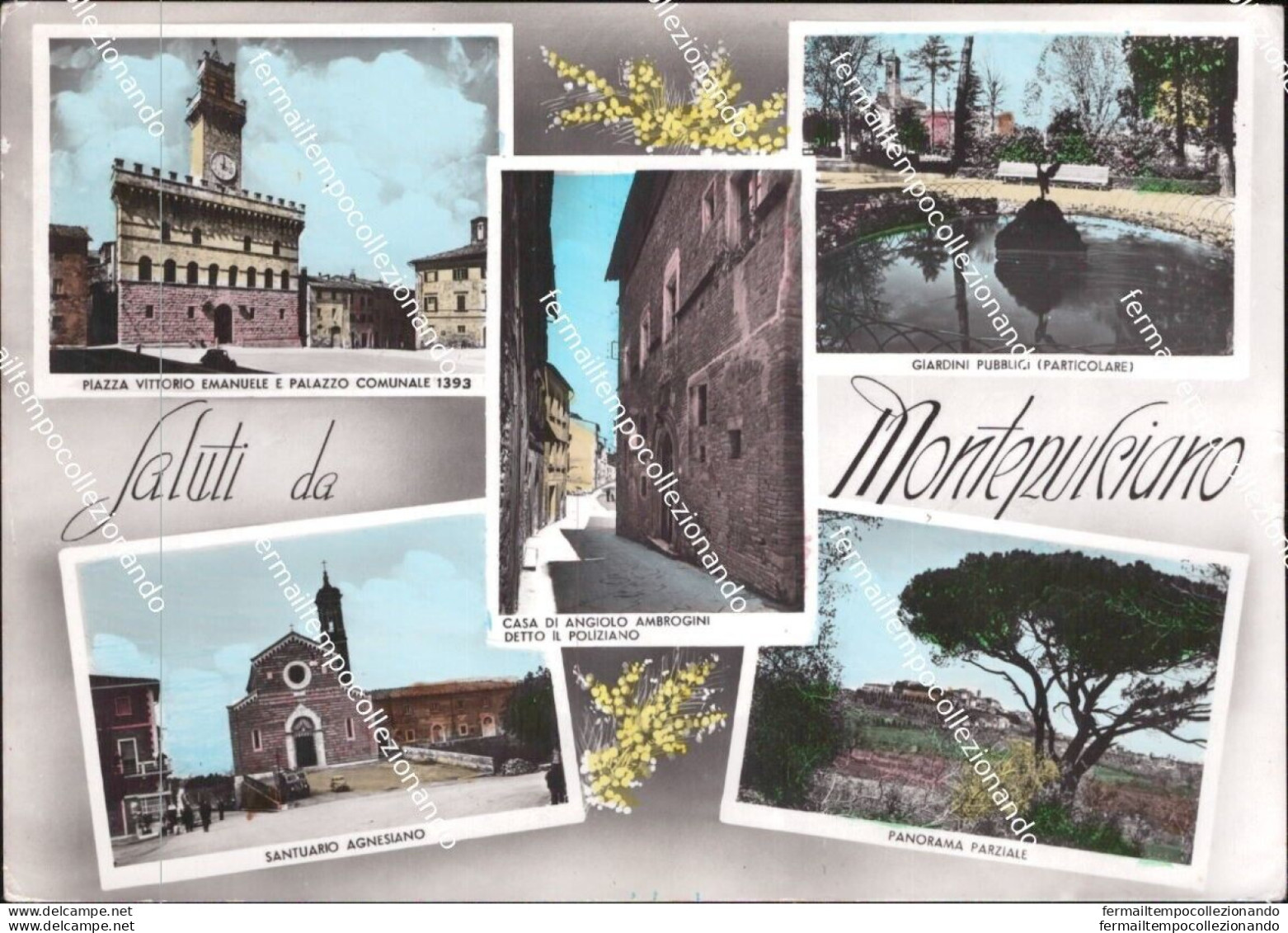 Al794 Cartolina  Saluti Da Montepulciano Provincia Di Siena Toscana - Siena