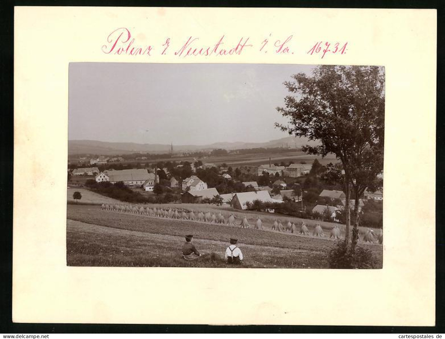Fotografie Brück & Sohn Meissen, Ansicht Polenz I. Sa., Ortschaft Vom Nahen Acker Gesehen  - Orte