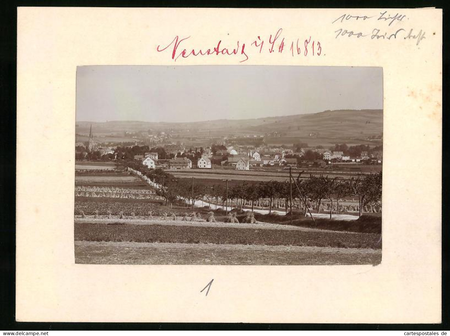 Fotografie Brück & Sohn Meissen, Ansicht Neustadt I. Sa., Blick Von Der Görtingerhöhe Zum Ort  - Orte