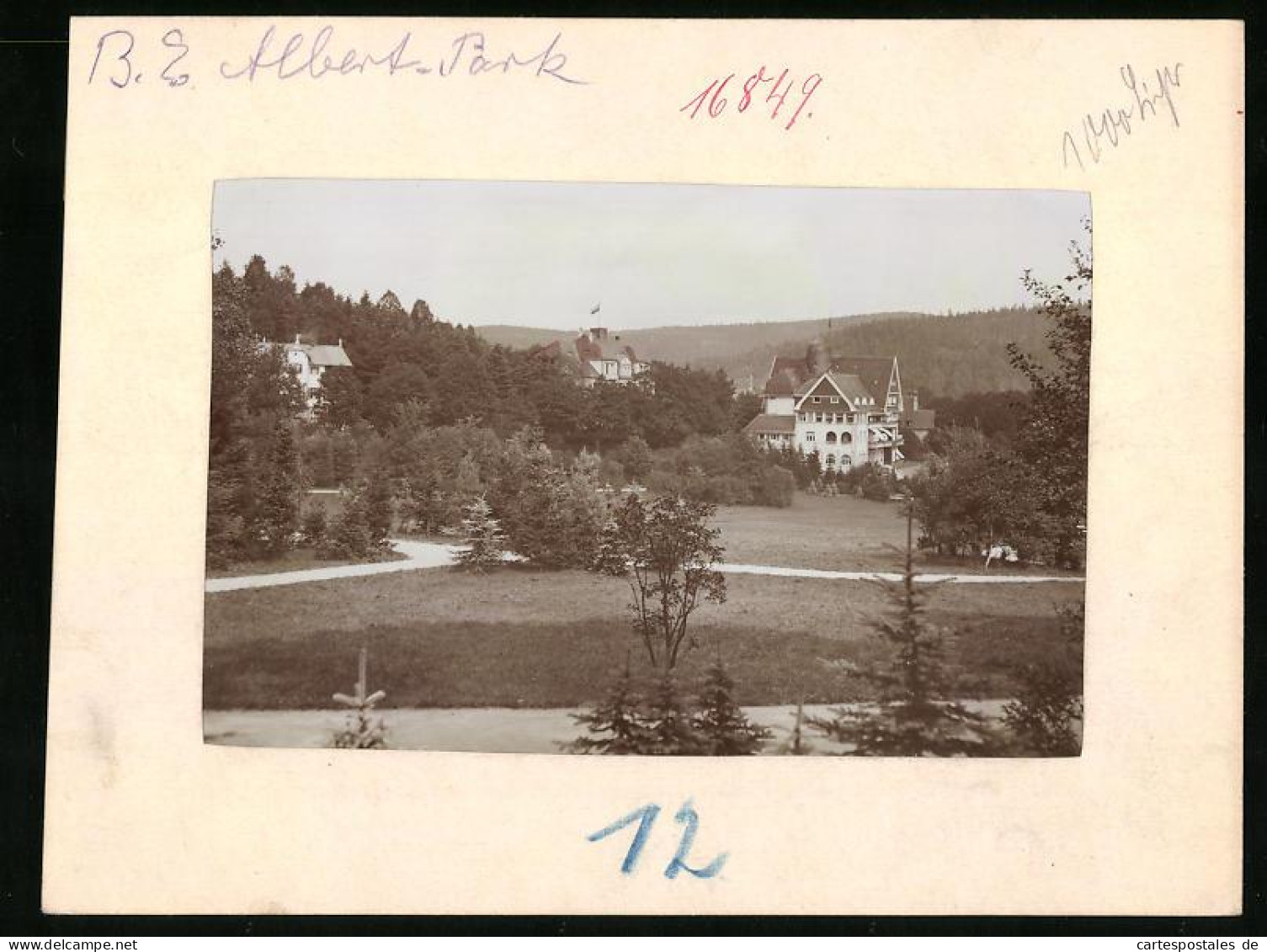 Fotografie Brück & Sohn Meissen, Ansicht Bad Elster, Partie Im Albert-Park  - Orte
