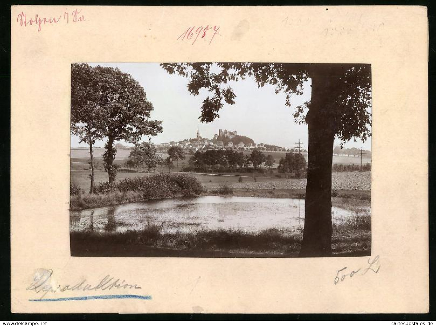 Fotografie Brück & Sohn Meissen, Ansicht Stolpen, Panorama Der Altstadt  - Lieux