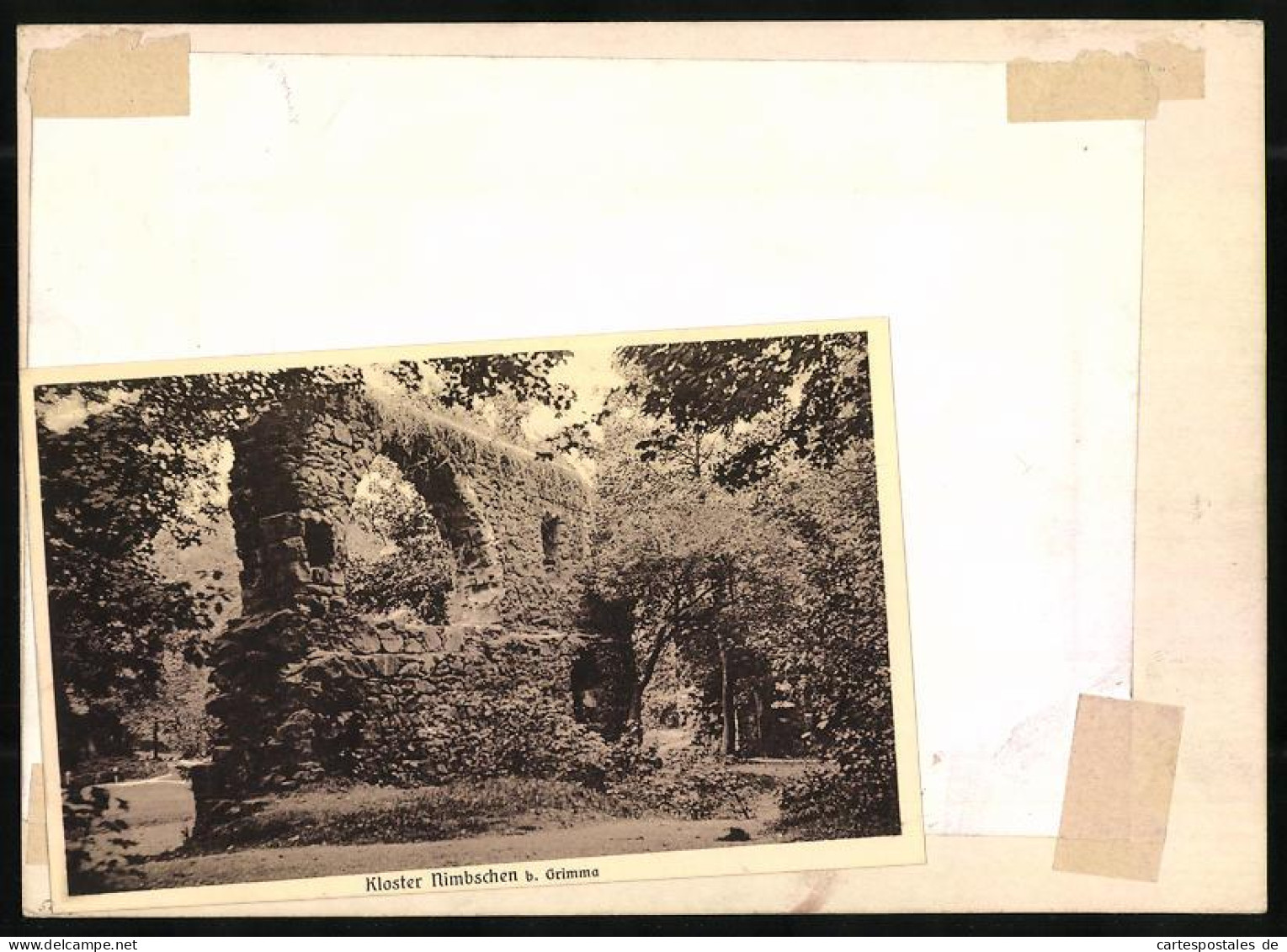 Fotografie Brück & Sohn Meissen, Ansicht Grimma, Ruine Des Klosters Nimbschen  - Places