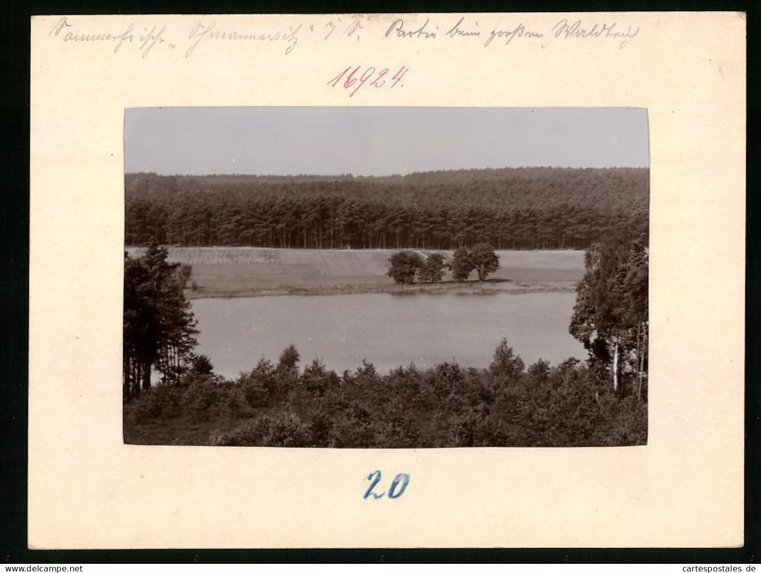 Fotografie Brück & Sohn Meissen, Ansicht Schmannewitz, Waldidylle Mit Gewässer  - Orte