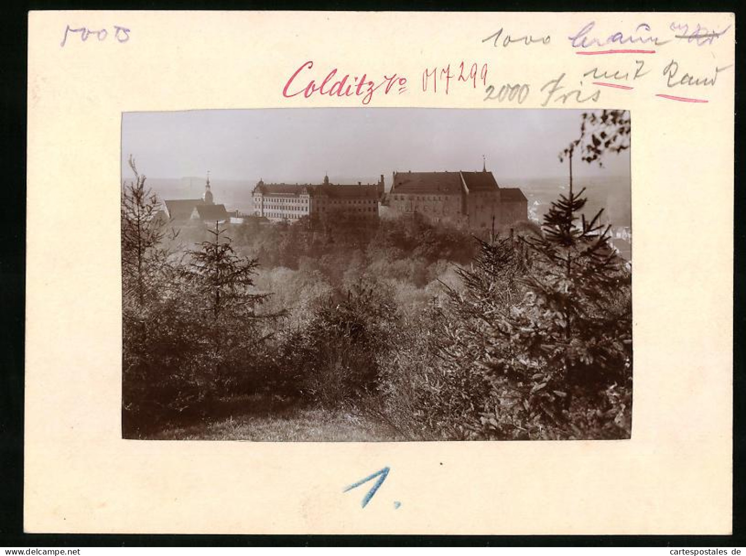 Fotografie Brück & Sohn Meissen, Ansicht Colditz, Schloss Vom Nahen Wald Gesehen  - Lieux