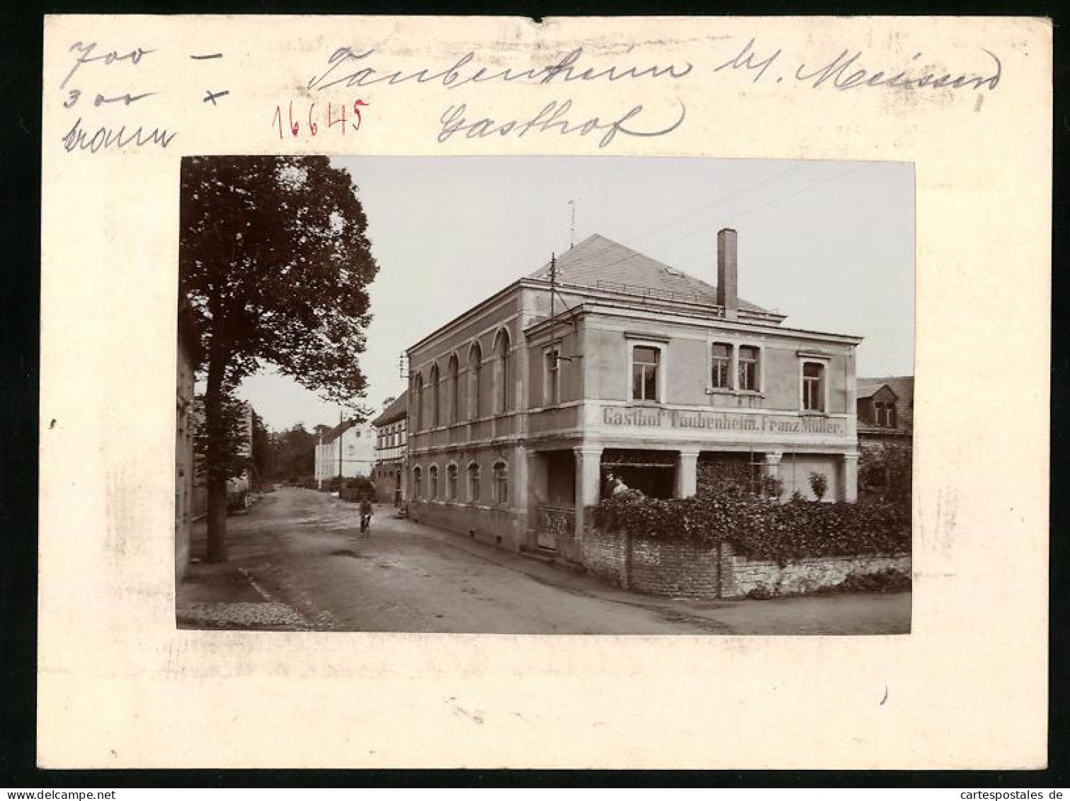 Fotografie Brück & Sohn Meissen, Ansicht Meissen, Gasthof Taubenheim Inh. Franz Müller  - Orte