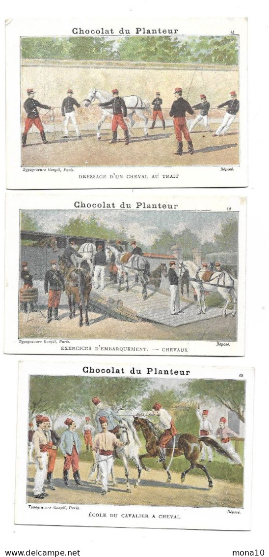 Chocolat Du Planteur - 3 Chromos- Chevaux, école, Dressage Cheval De Trait - Altri & Non Classificati