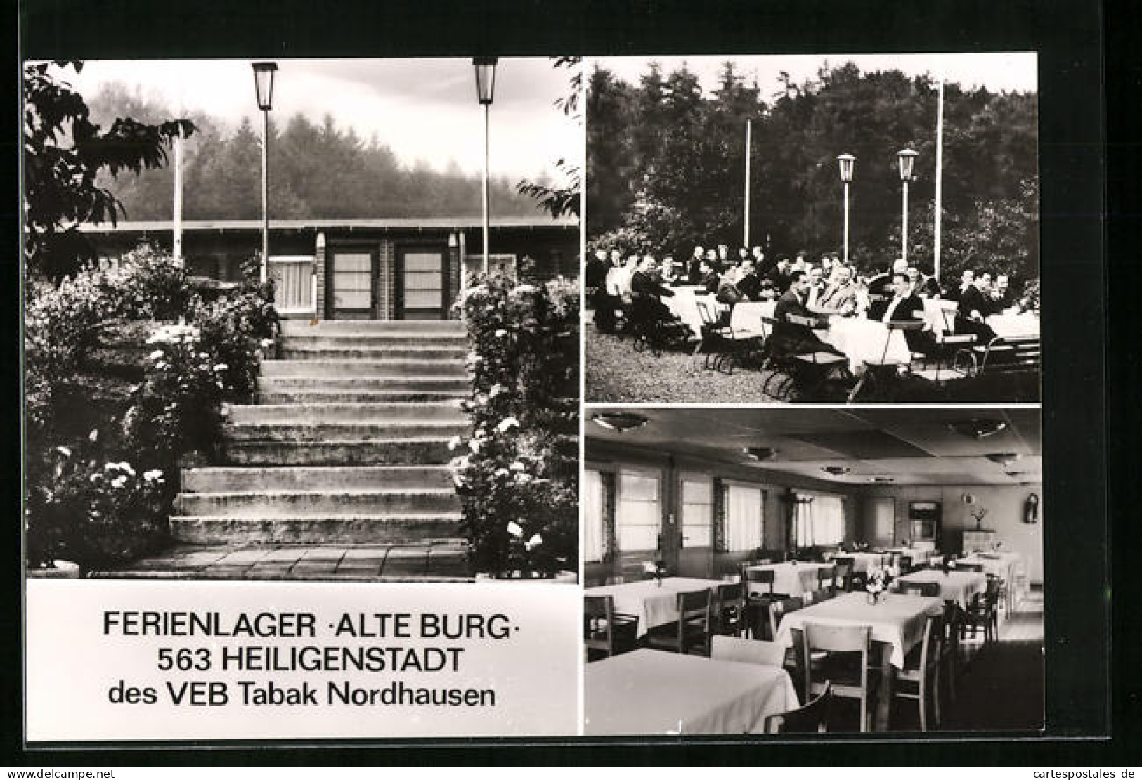 AK Heiligenstadt, Ferienlager Alte Burg Des VEB Tabak Nordhausen  - Nordhausen