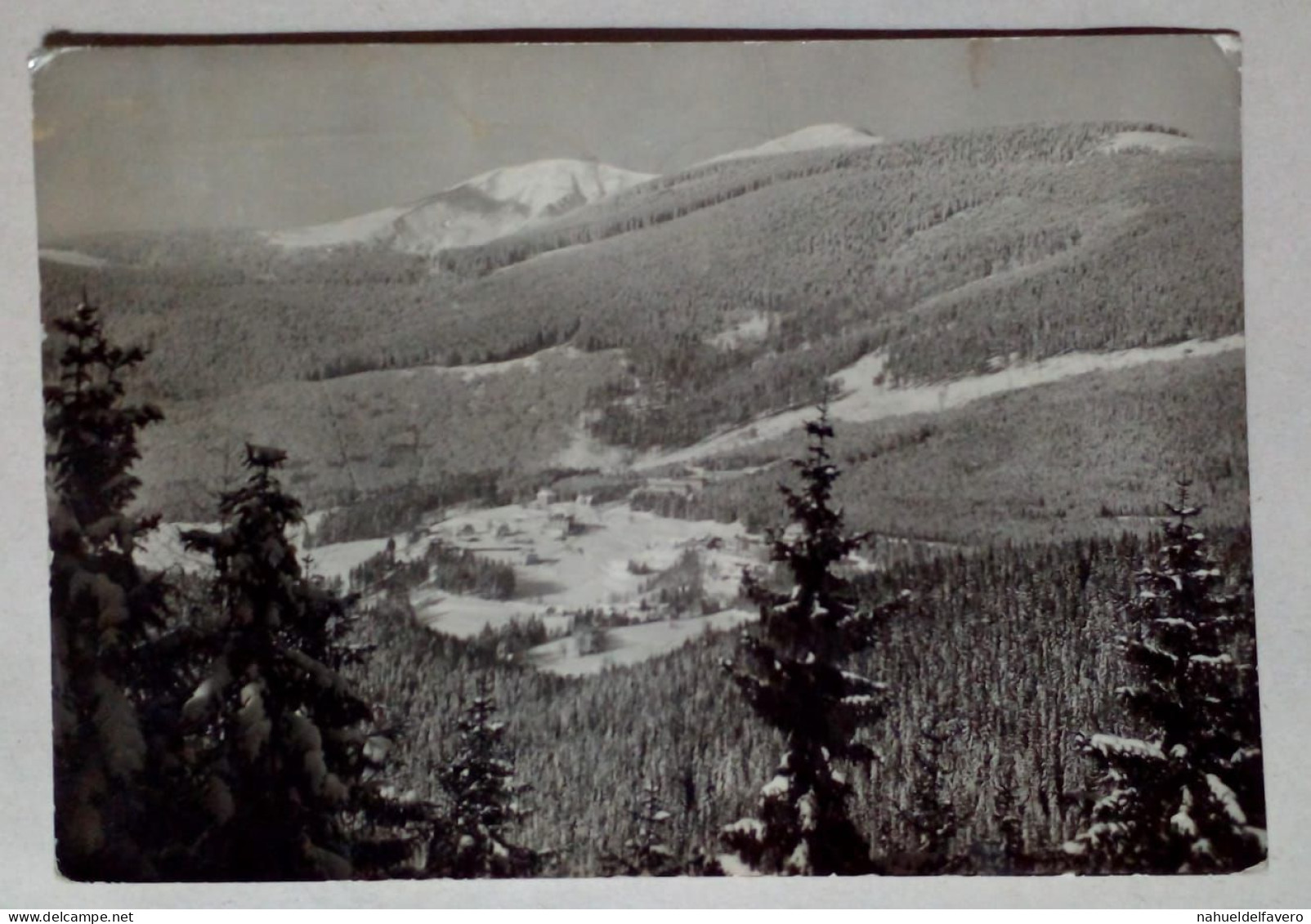 Carte Postale - Montagnes Centrales De Krkonose, Pologne. - Photographie